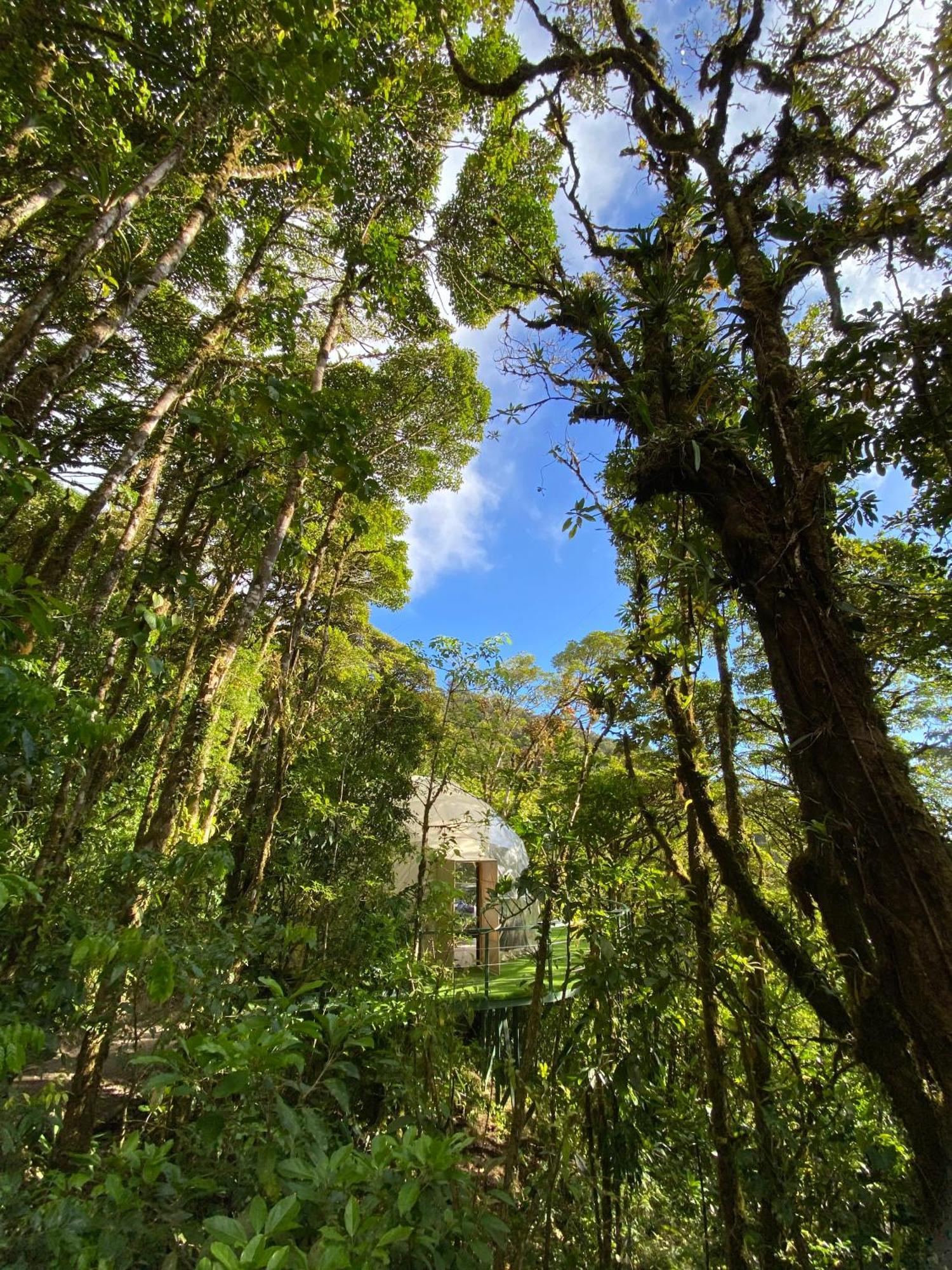 Отель Way To Heaven Glamping Монте-Верде Экстерьер фото